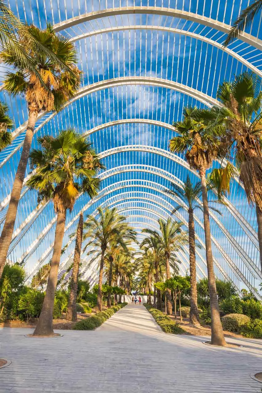 Ciutat de les Arts i les Ciències, Valencia, Spanje | de Jong Intra Vakanties