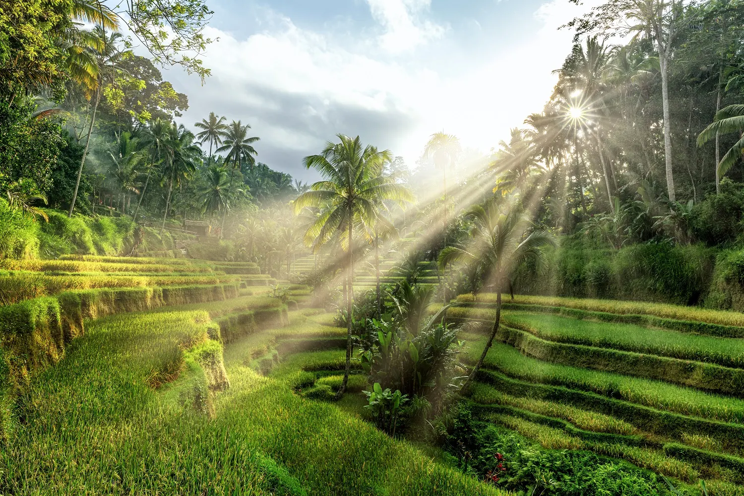 Verre reizen meivakantie, Bali, Indonesië | de Jong Intra Vakanties