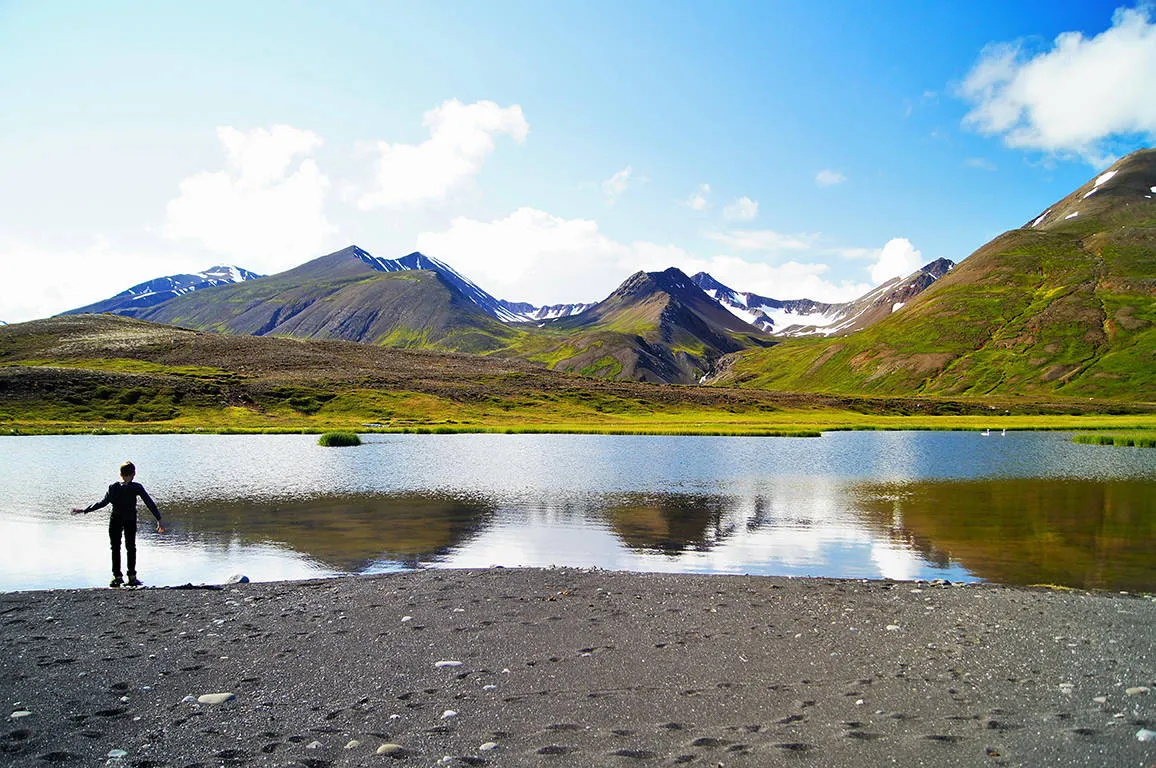 Höfn