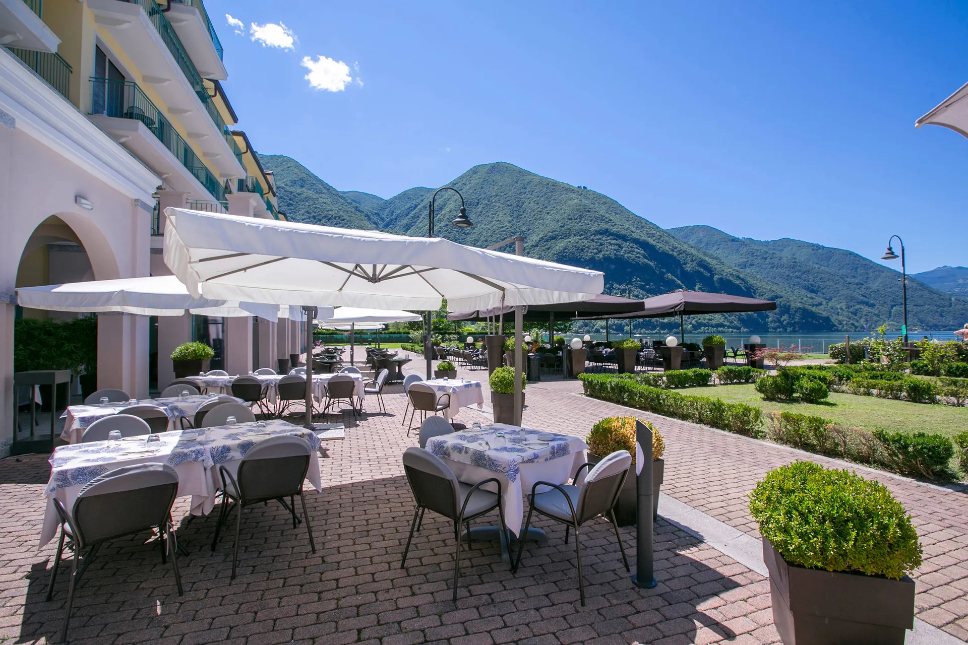 Terras
