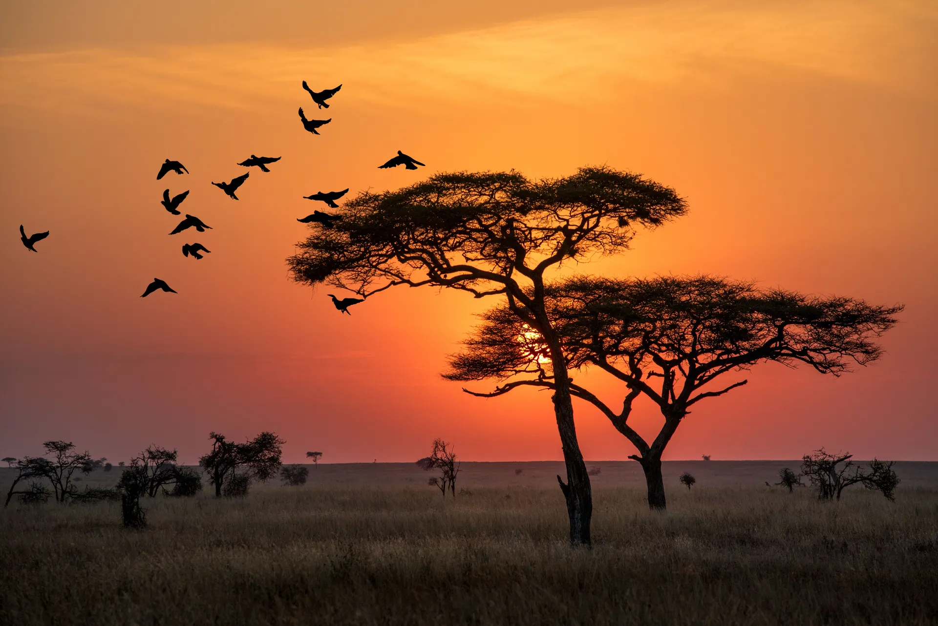 Serengeti National Park