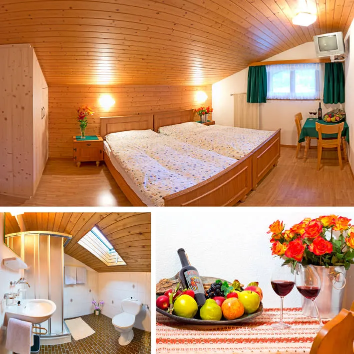 Wintersport Hotel Adler in Saas-Grund (Wintersport Wallis, Zwitserland)