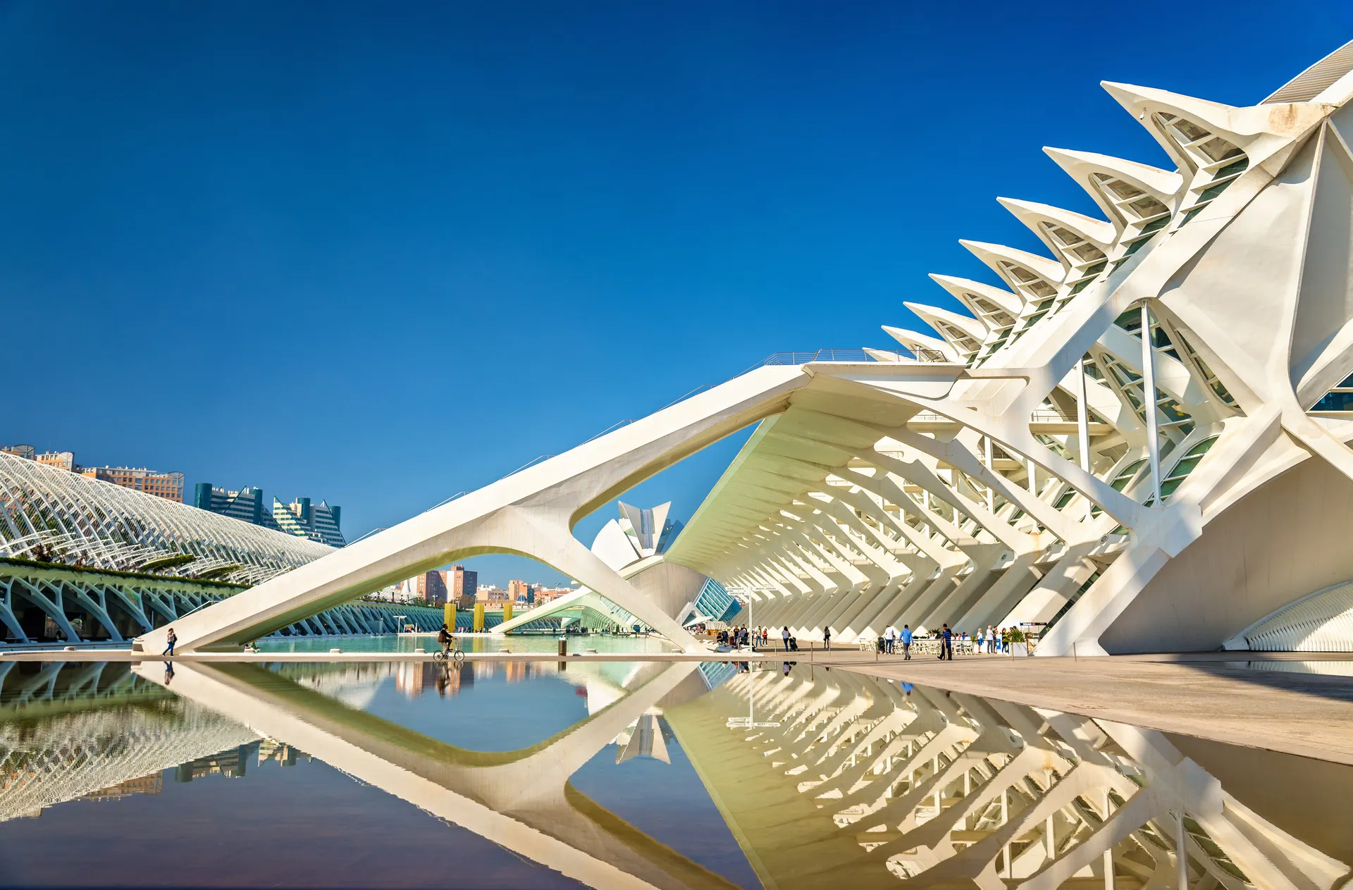 Museo de las Cièncias Príncipe Felipe, Valencia