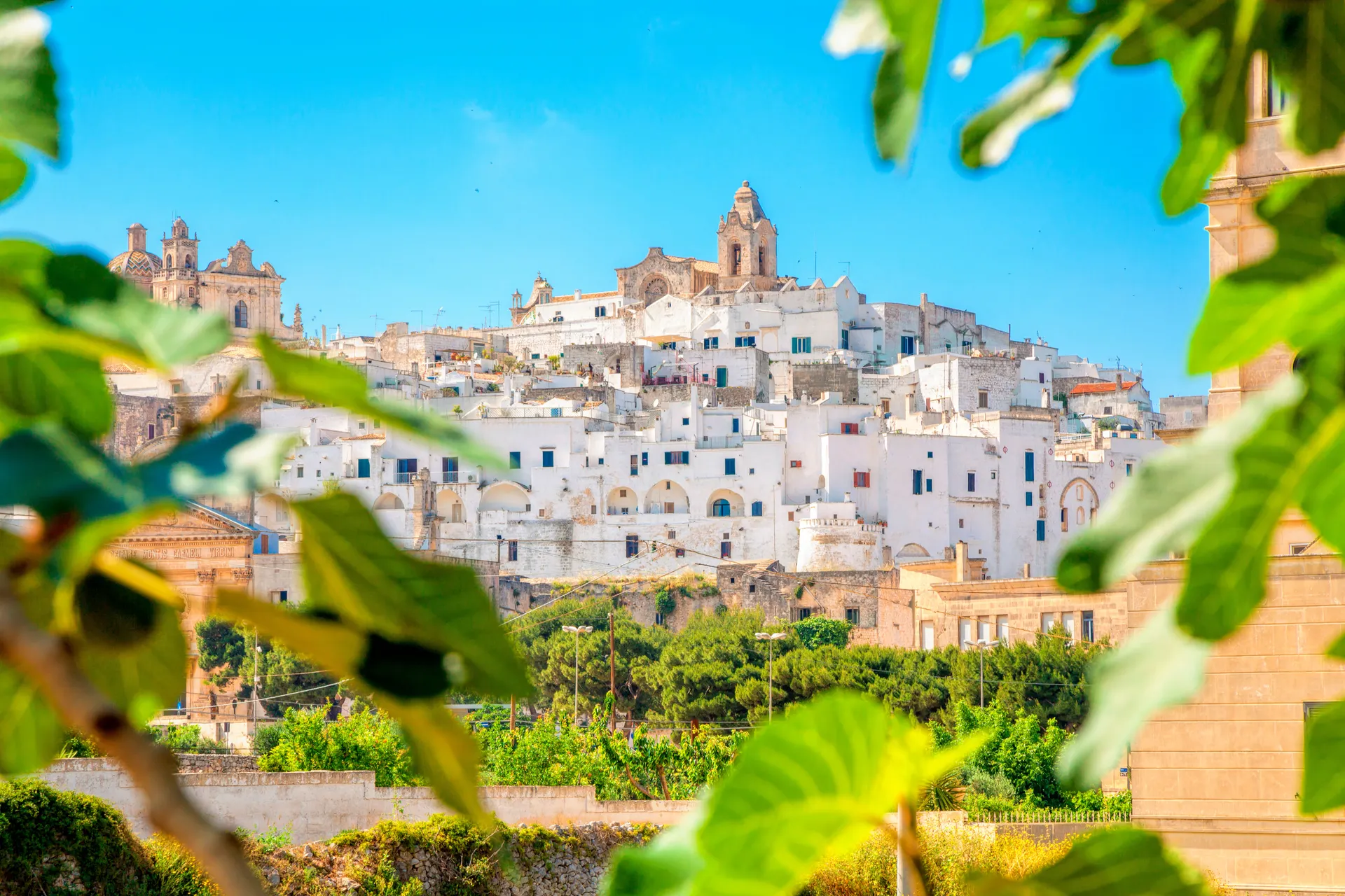 Train & Electric Drive Puglia & Amalfikust.