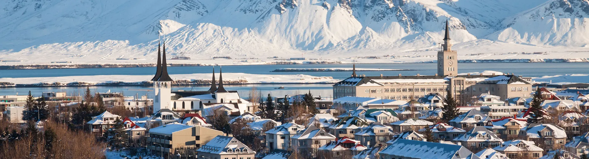 Stedentrip Reykjavik, Skyline, Reykjavik, IJsland | de Jong Intra Vakanties