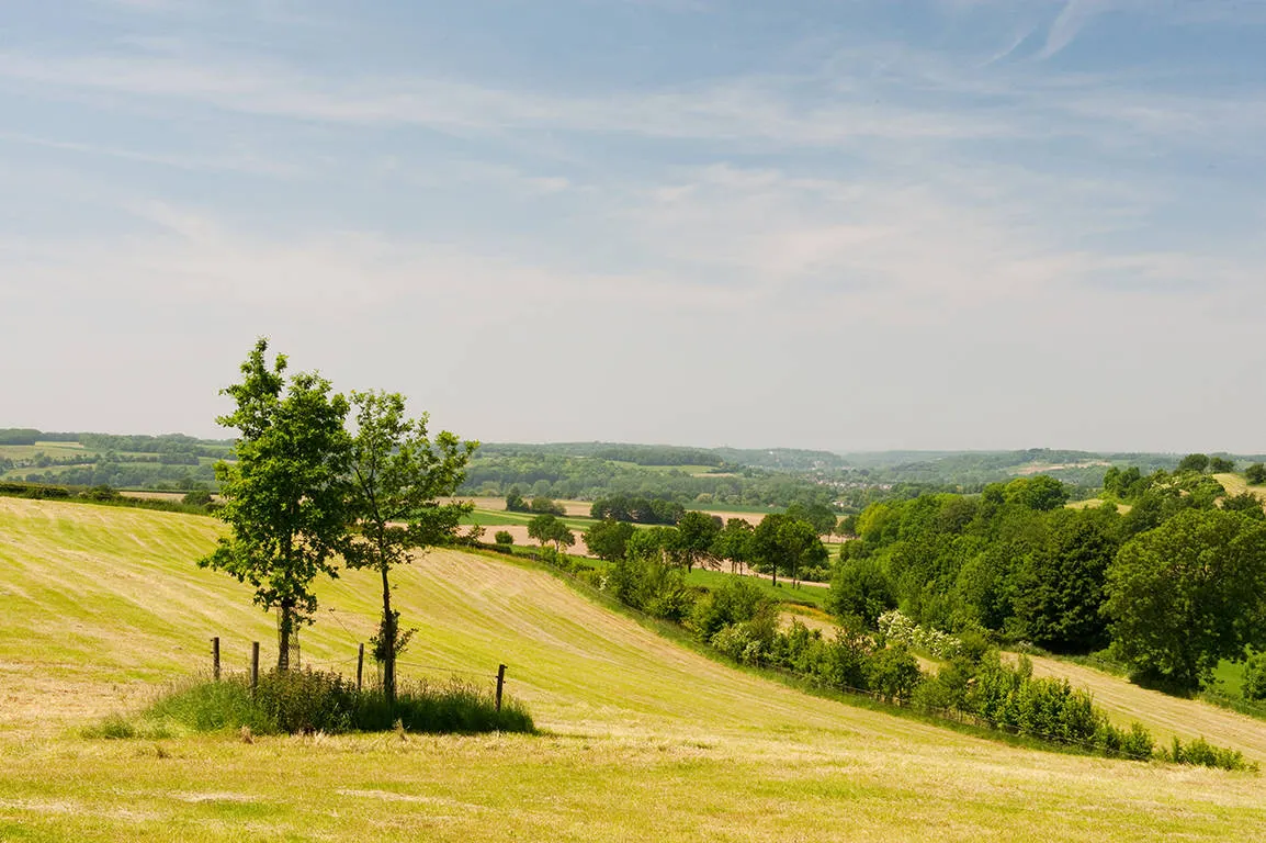 Limburgse heuvels