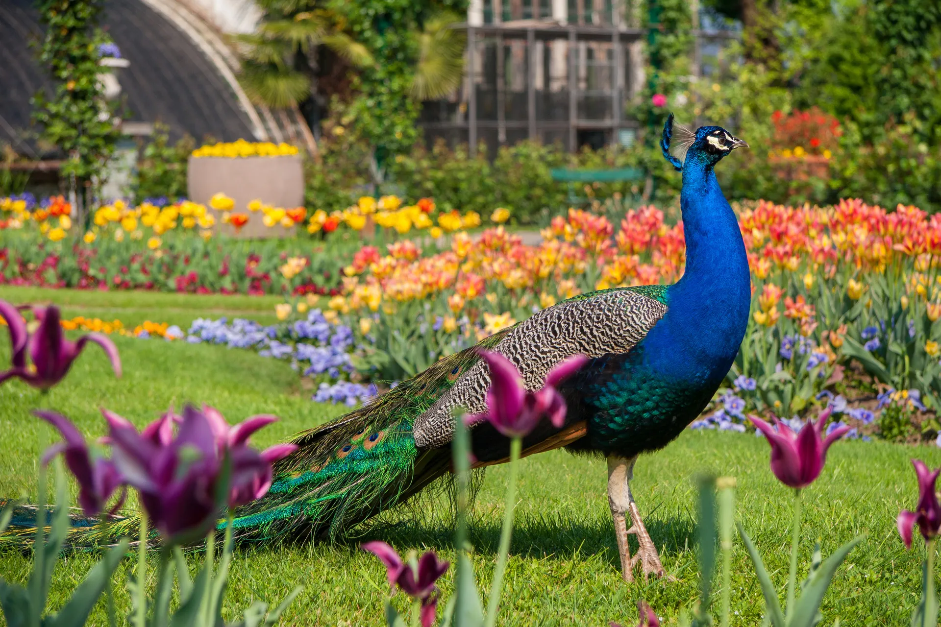 Park Pallavicino AdobeStock 109304220