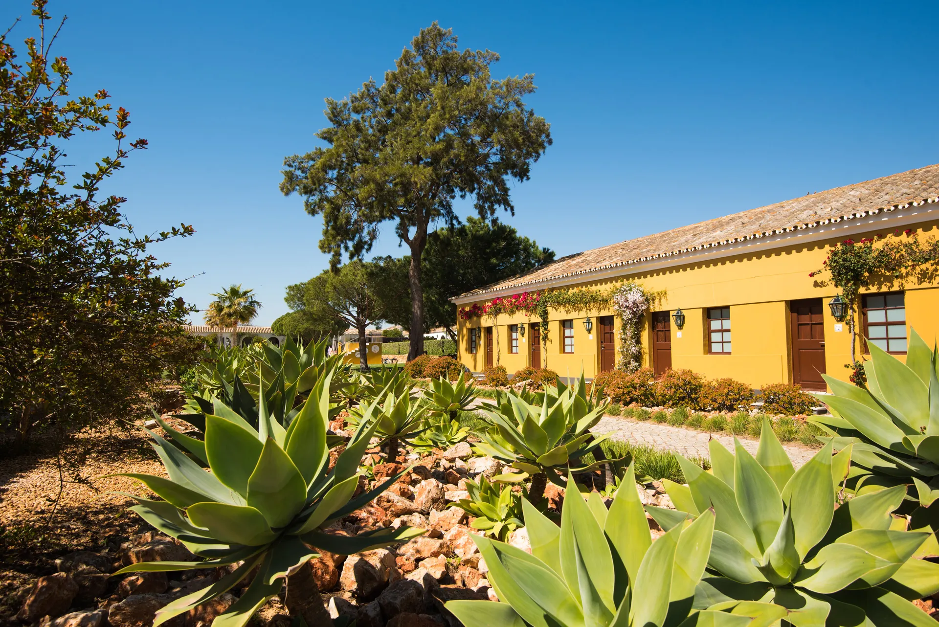 Vila Galé Albacora foto 3