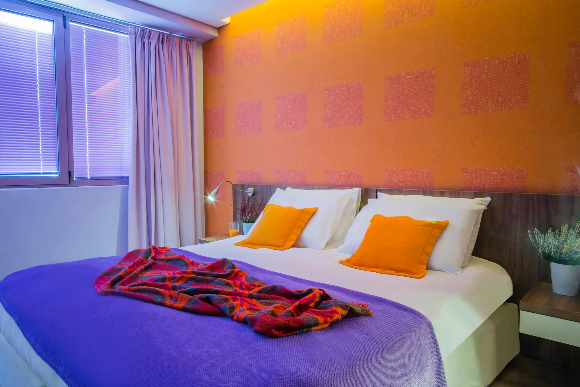 Novus City Hotel afbeelding 2