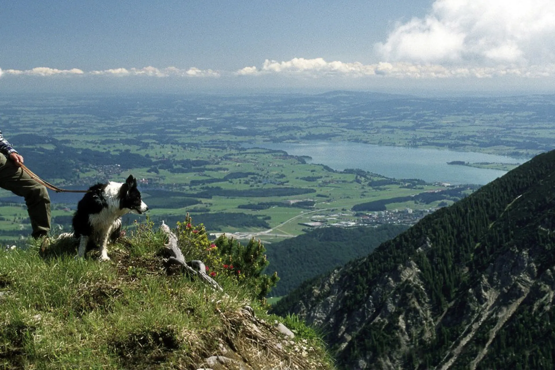 Beierse alpen