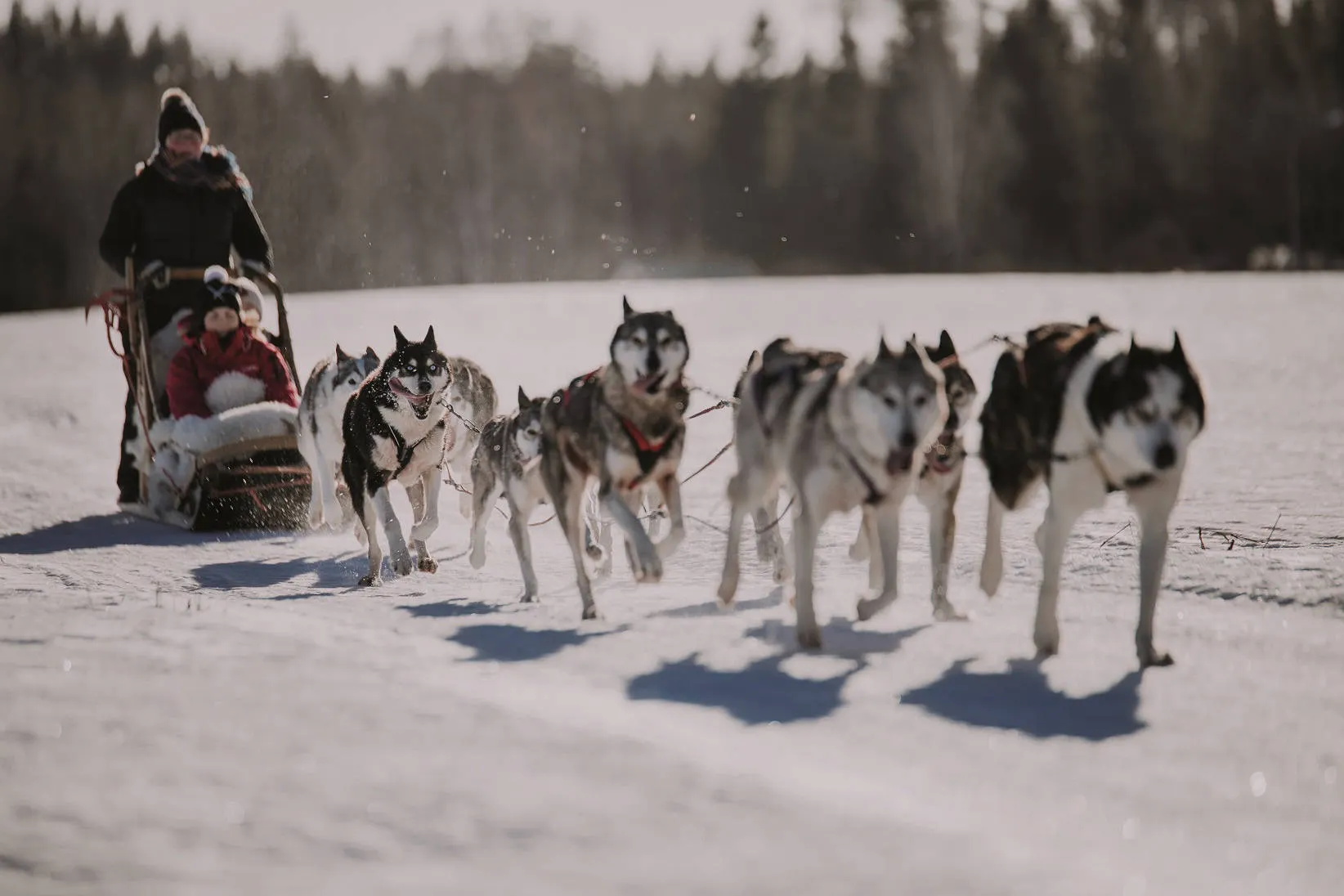 Santa Claus Village afbeelding 2