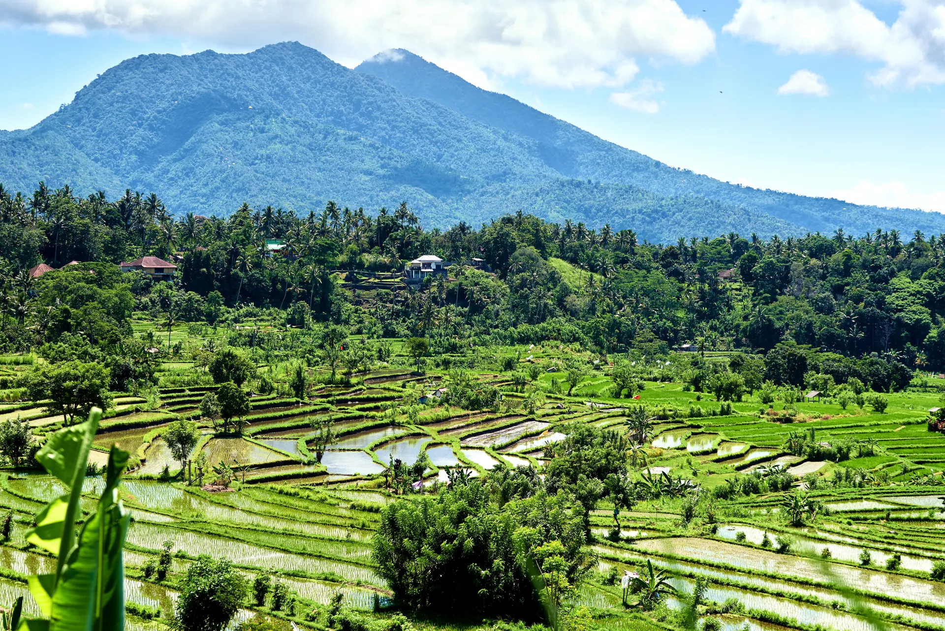 Traditioneel Bali.