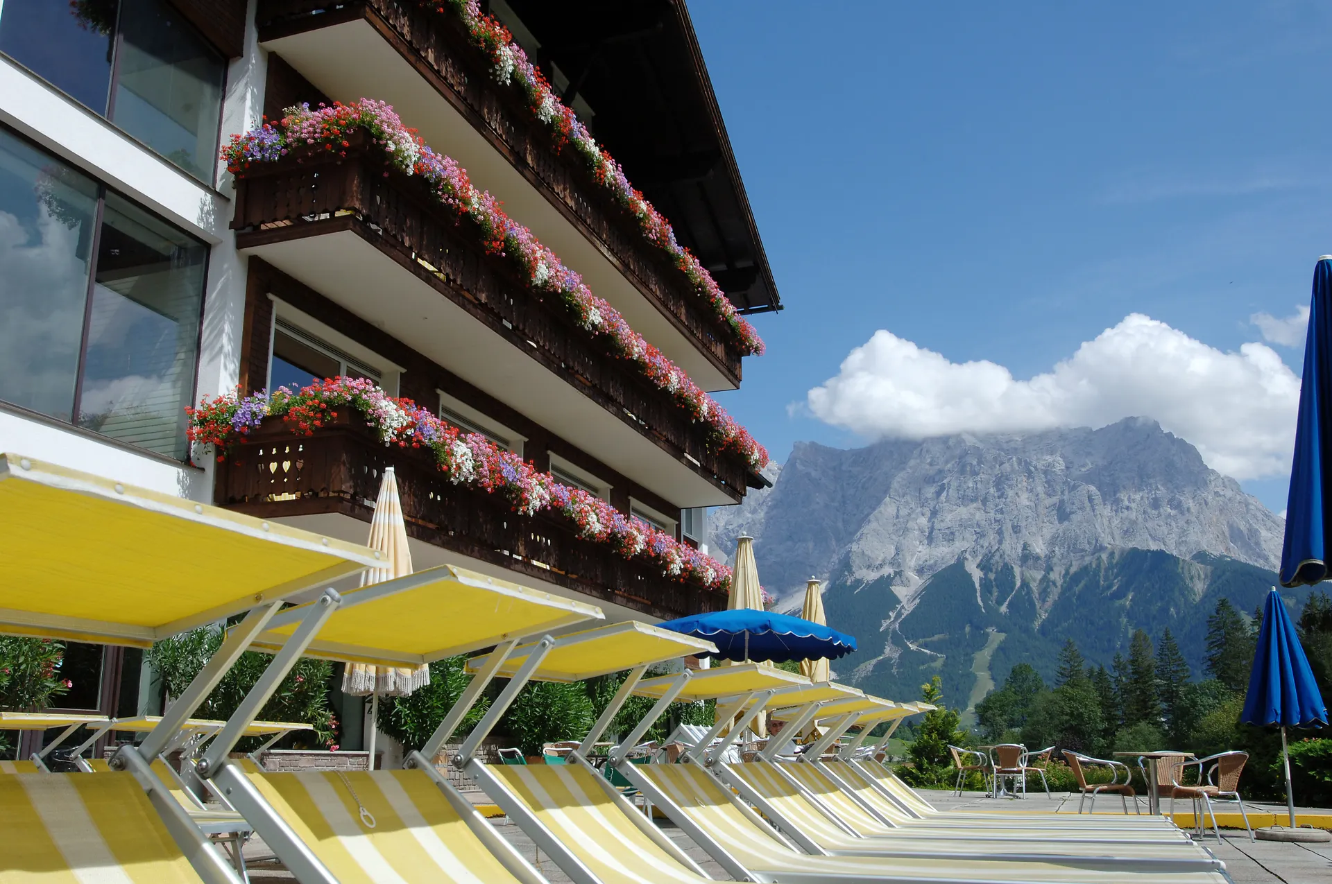 Terras