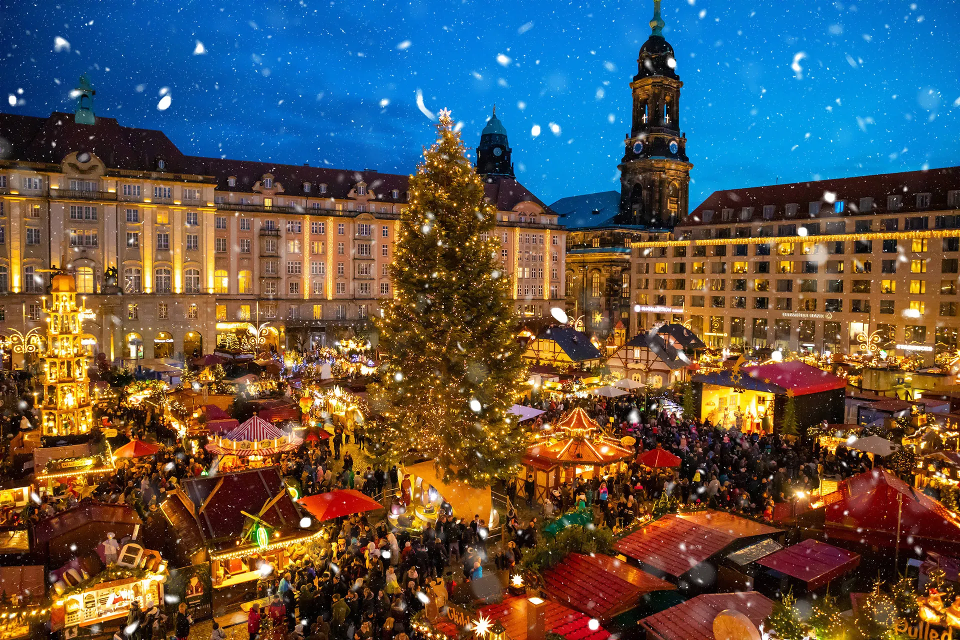 Dresden