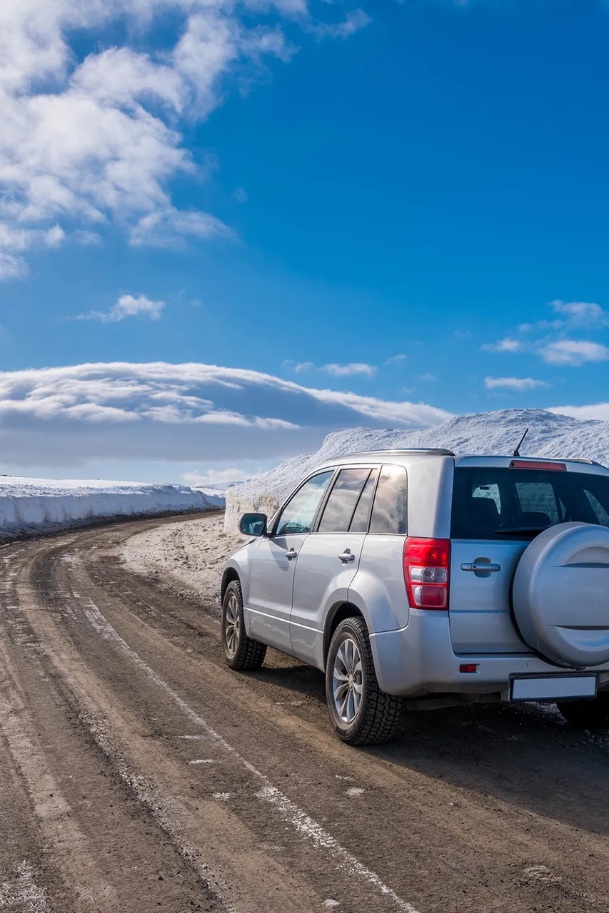 Fly drives IJsland