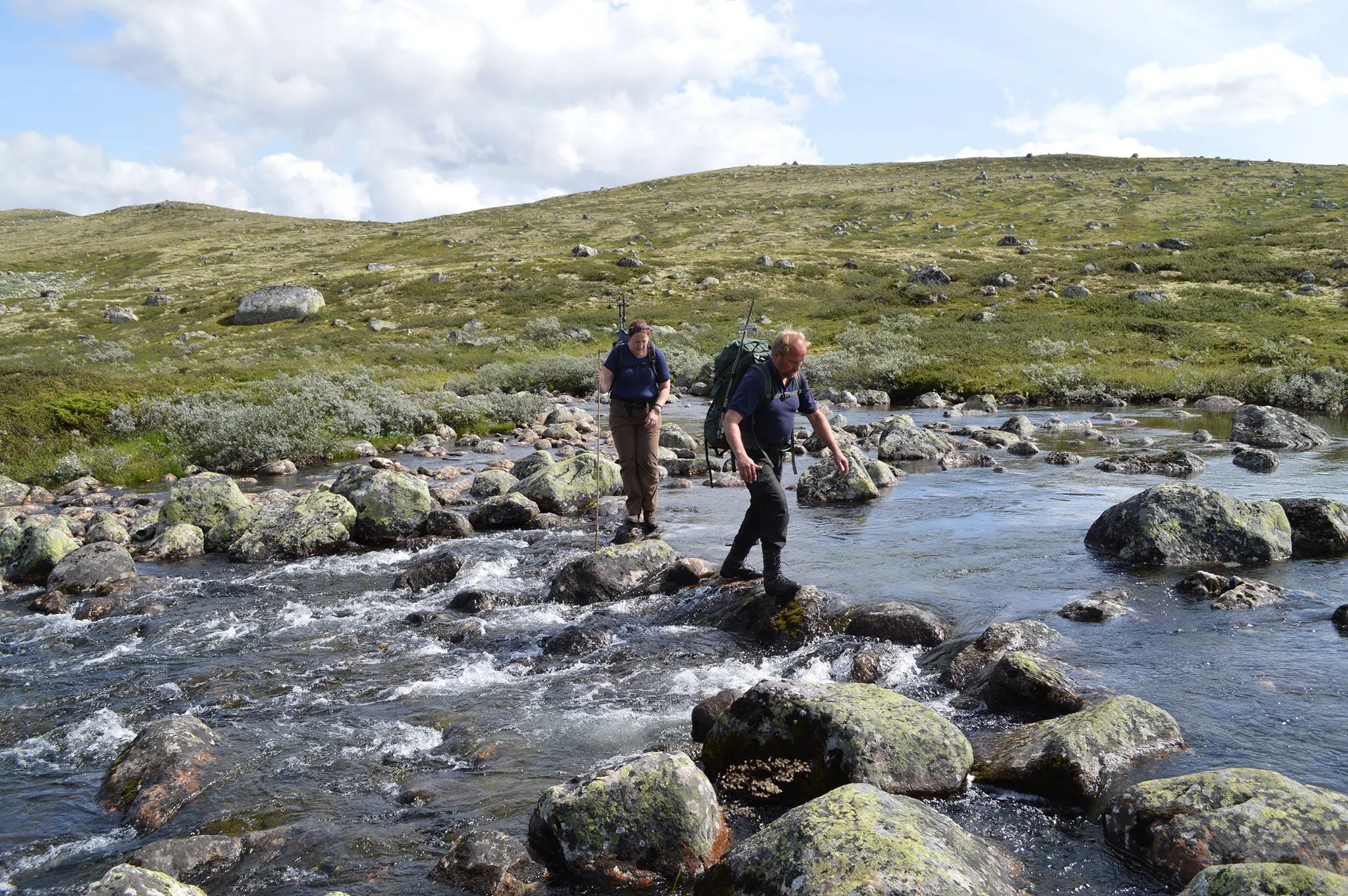 Hardangervidda - Foto: Paul Arthur Lockhart