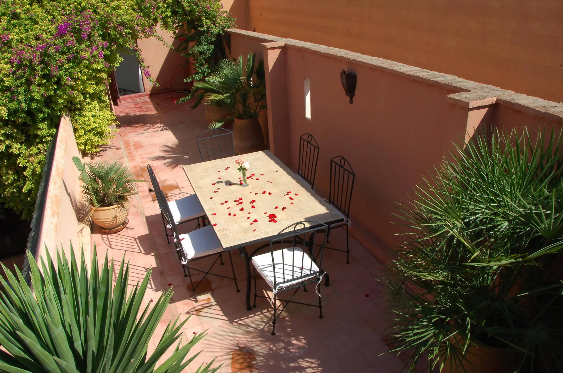 Terras