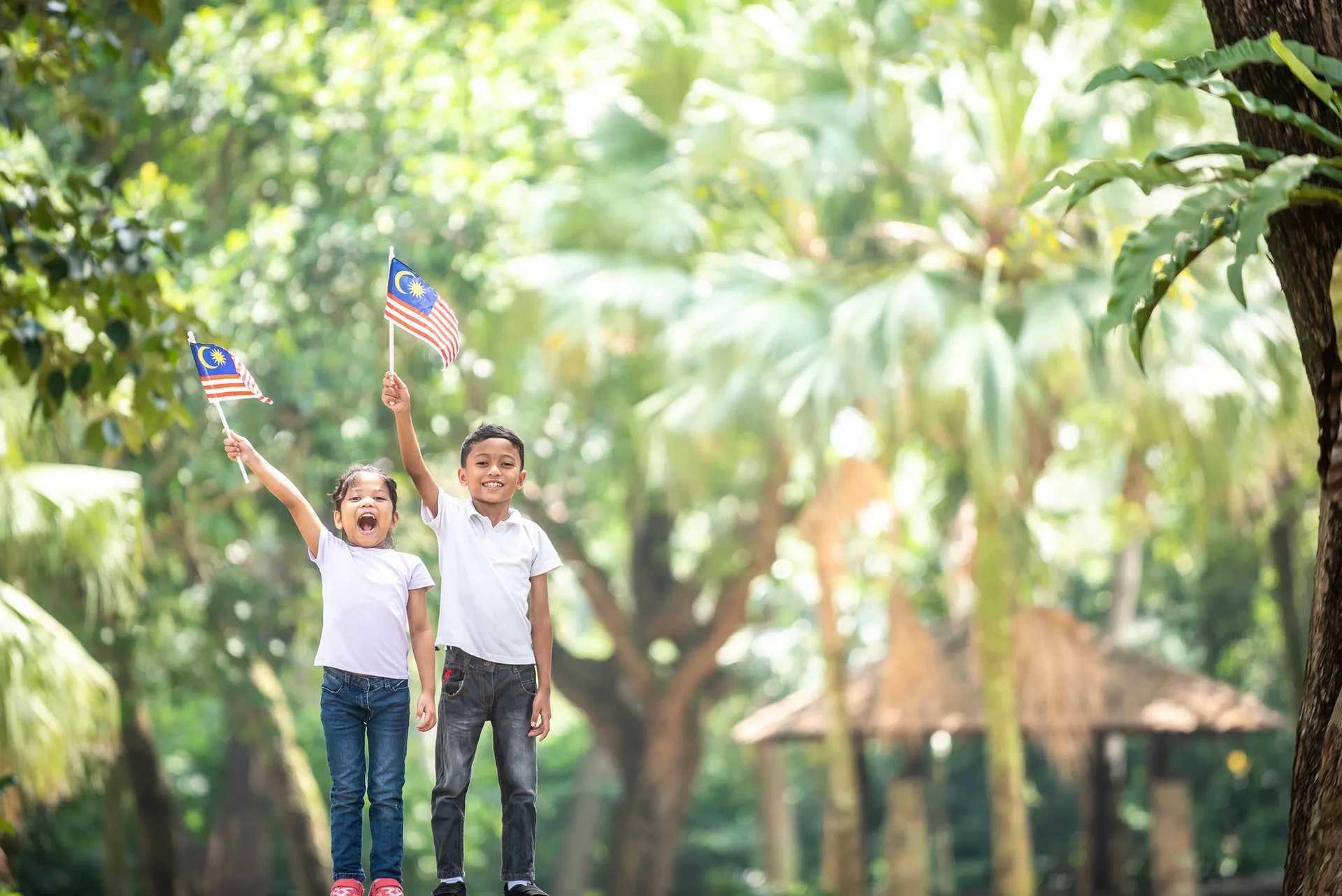 Maleisië met de kinderen Met gids chauffeur