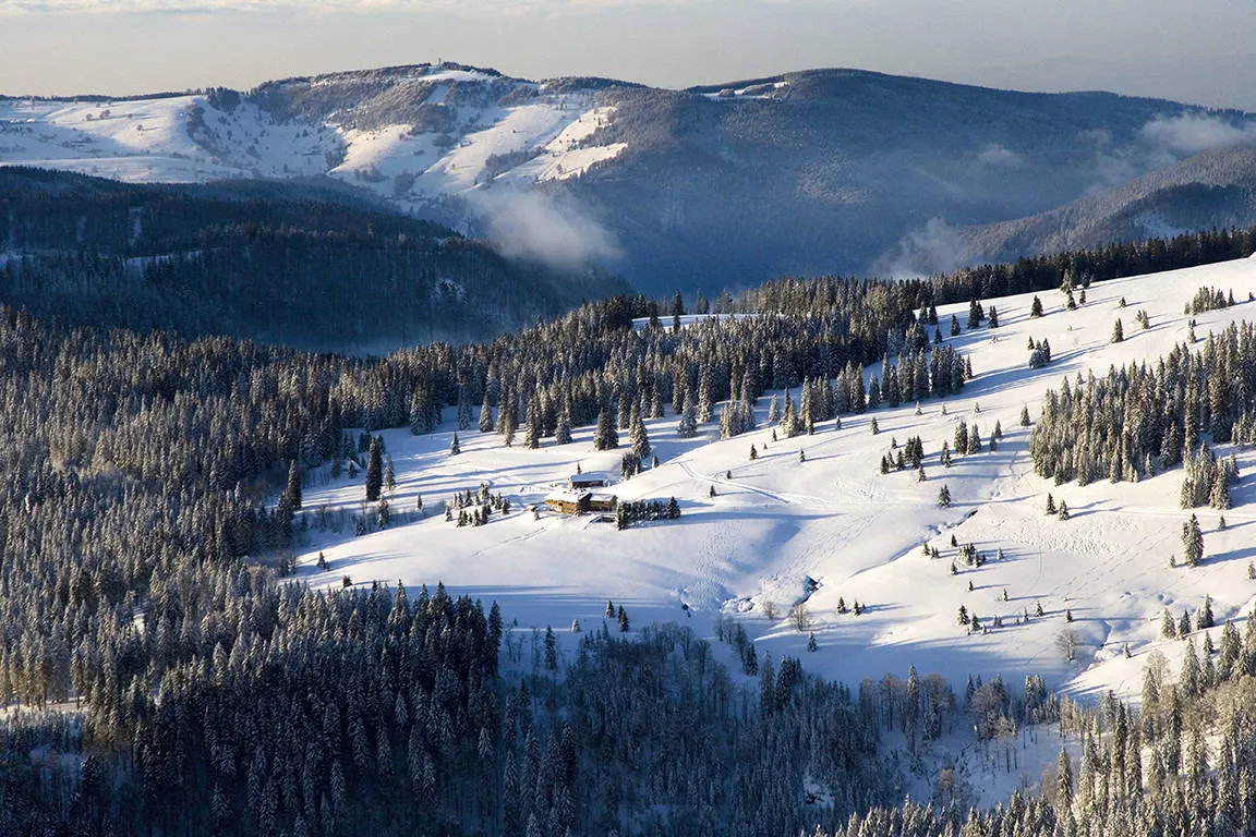 Winter in het Zwarte Woud