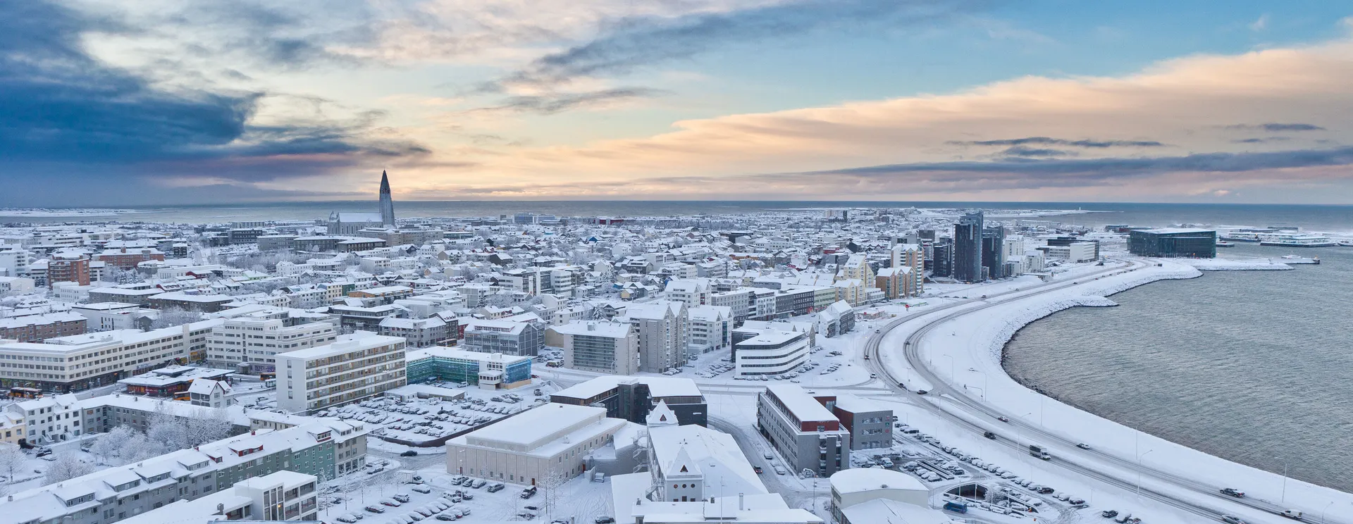 Reykjavik sneeuwpanorama