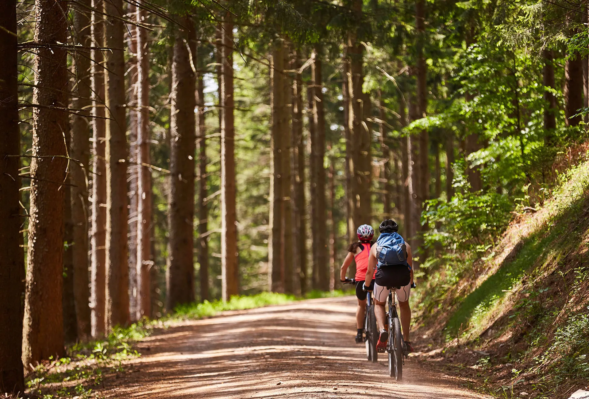 Actief in het Zwarte Woud