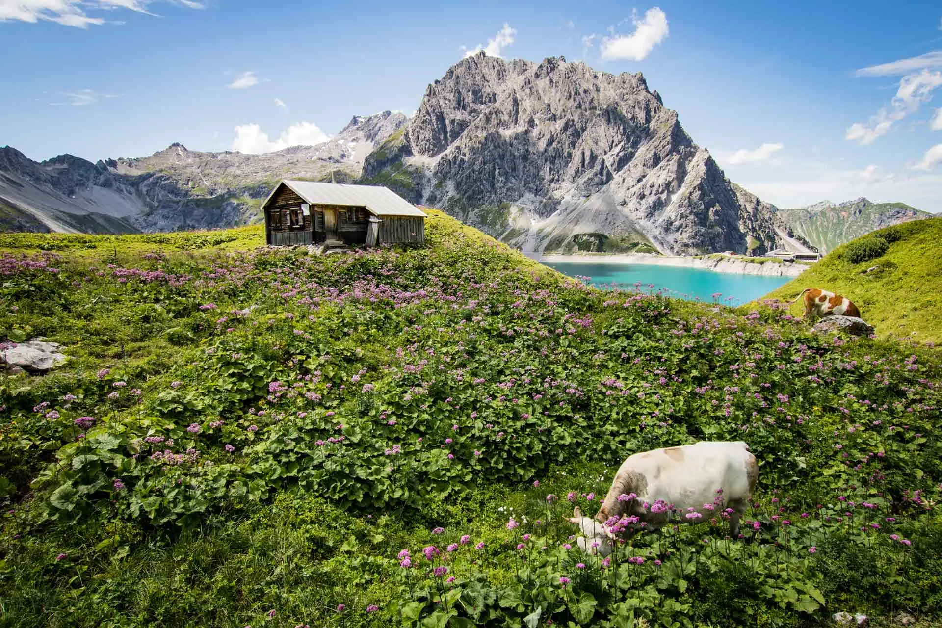 Oostenrijk Vorarlberg Landscape