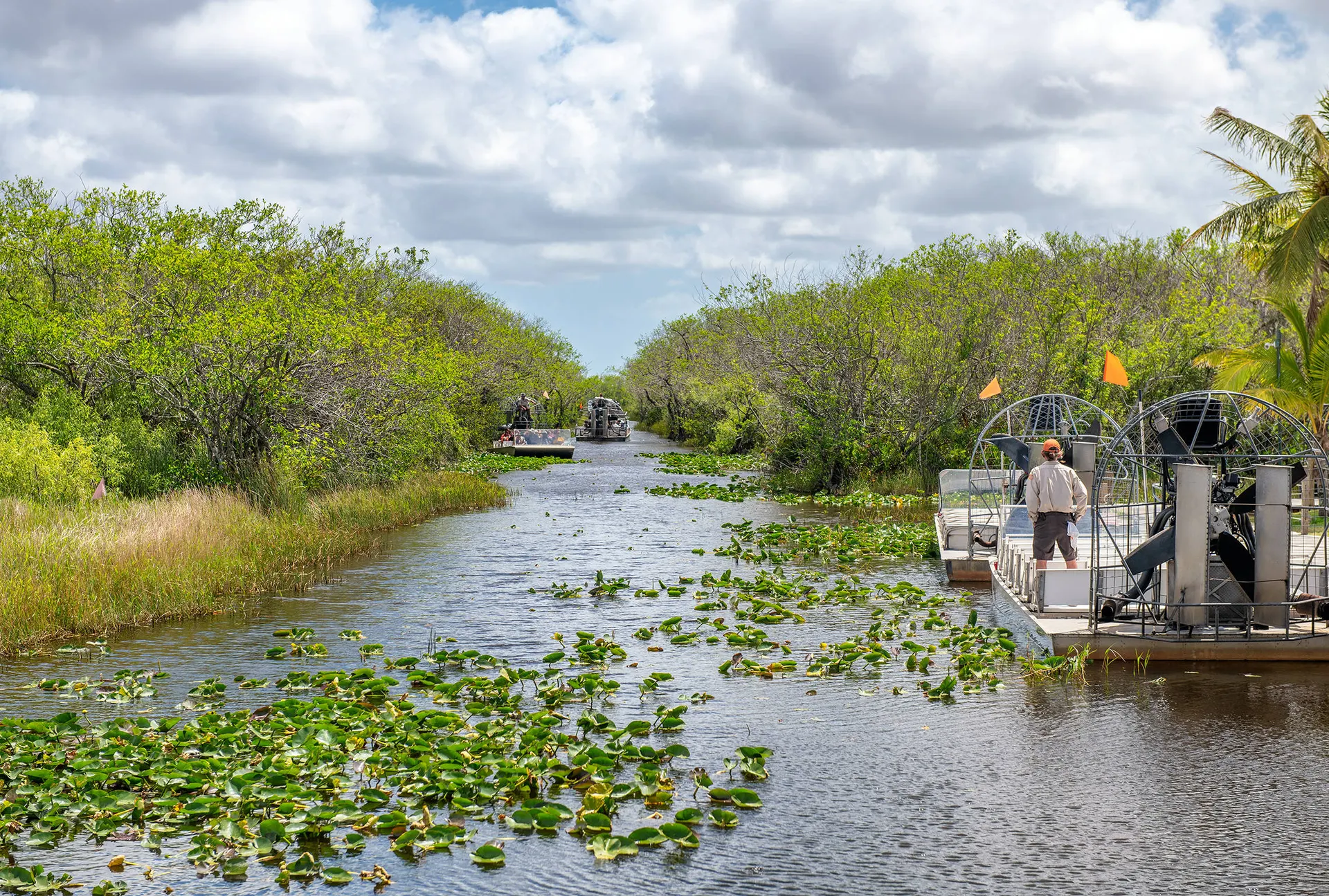 Everglades NP