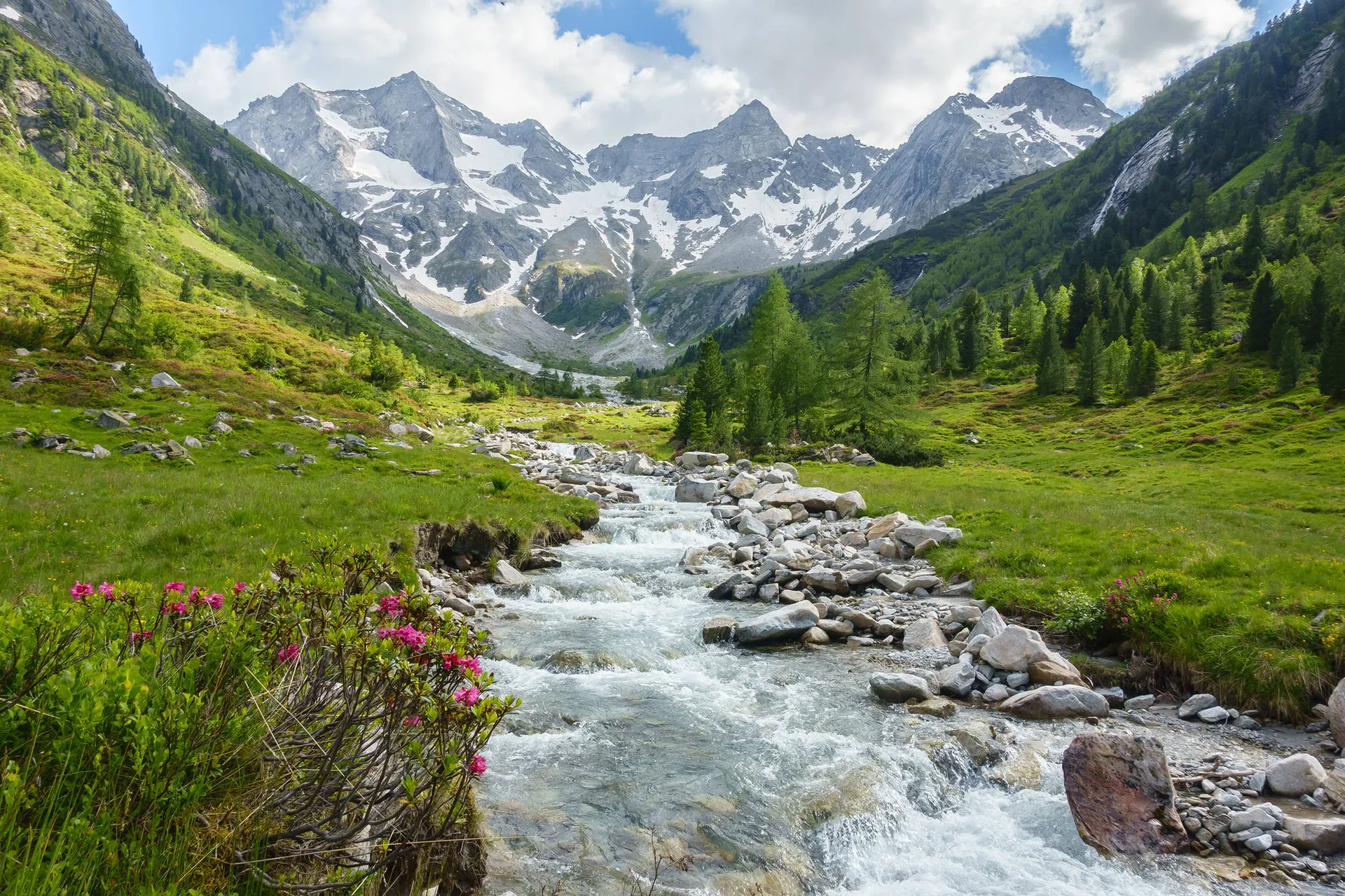 Online bestellen: All inclusive door Tirol en Karinthië