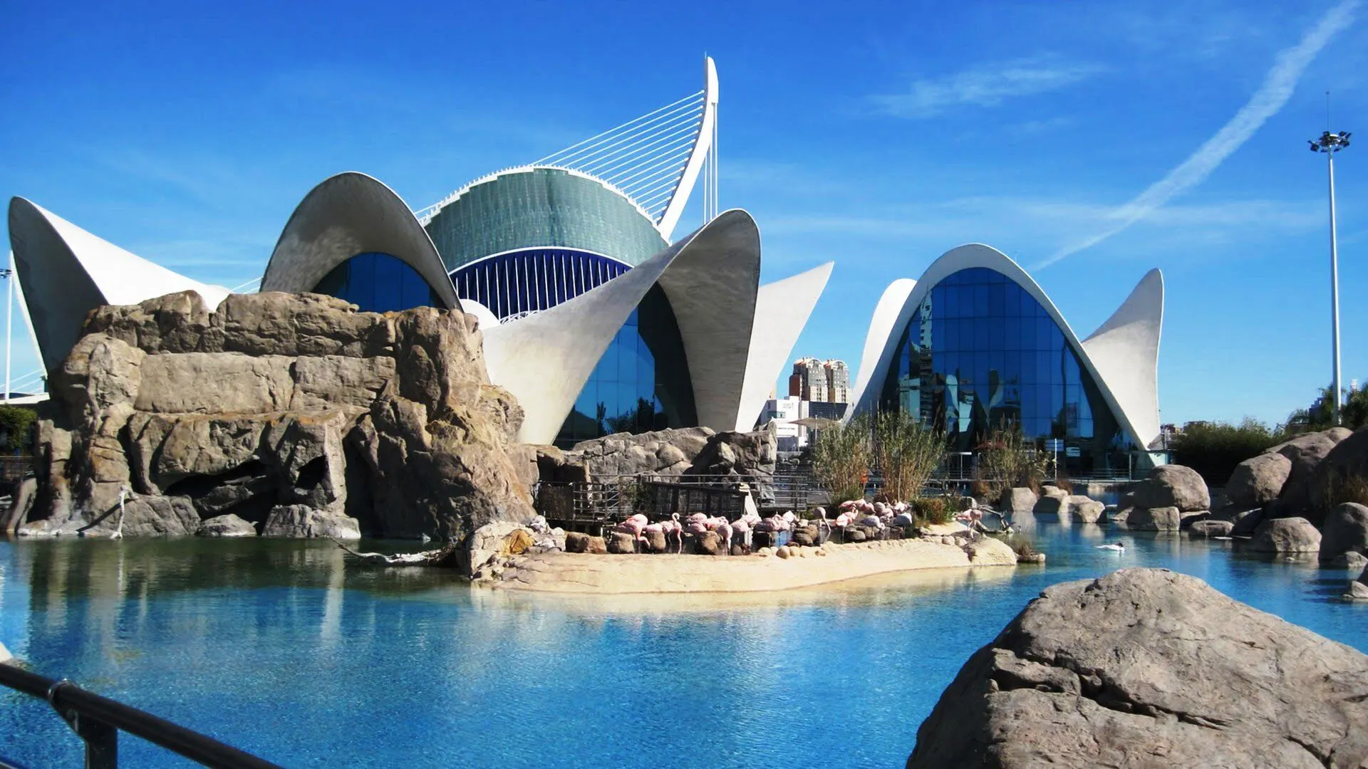 Winterzon in Valencia.