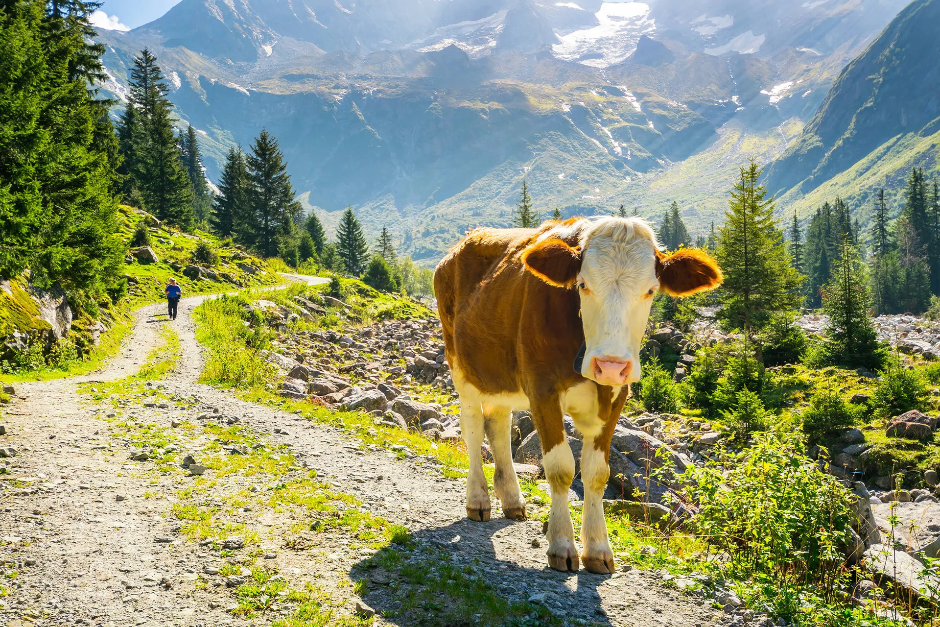 Via de Oostenrijkse Alpen naar het Gardameer op het gemak.