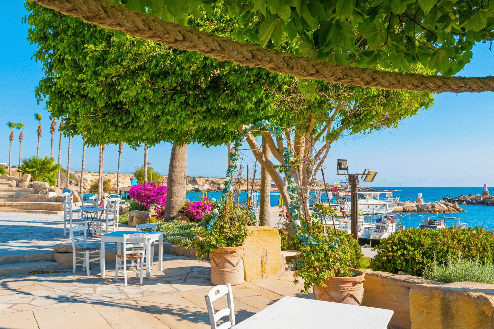 Gezellig terras aan het water in Paphos op het zonnige eiland Cyprus - de Jong Intra Vakanties