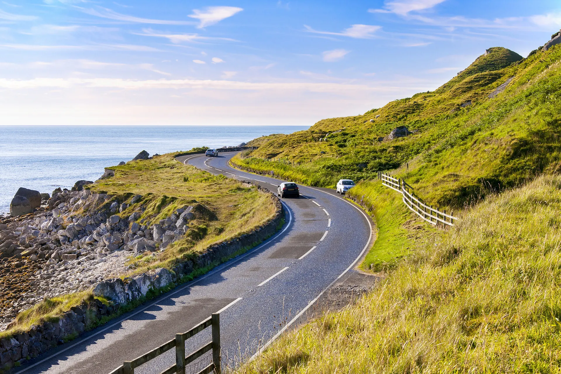 Fly drives Ierland