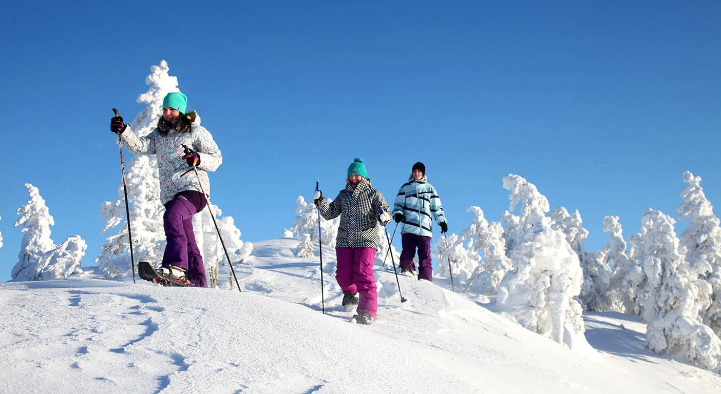 Santa Claus Village afbeelding 4