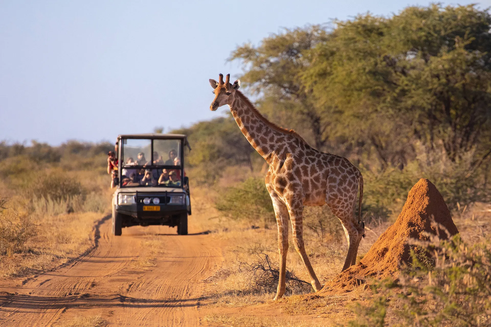 Tanzania op het gemak
