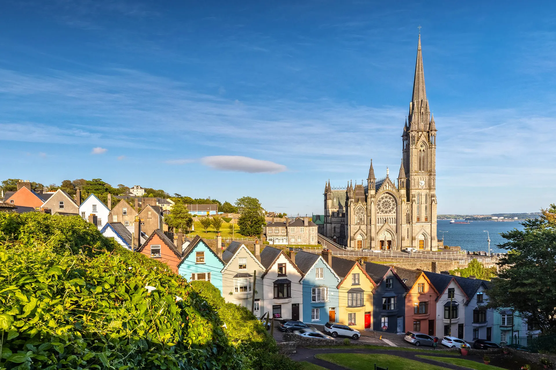 Cork