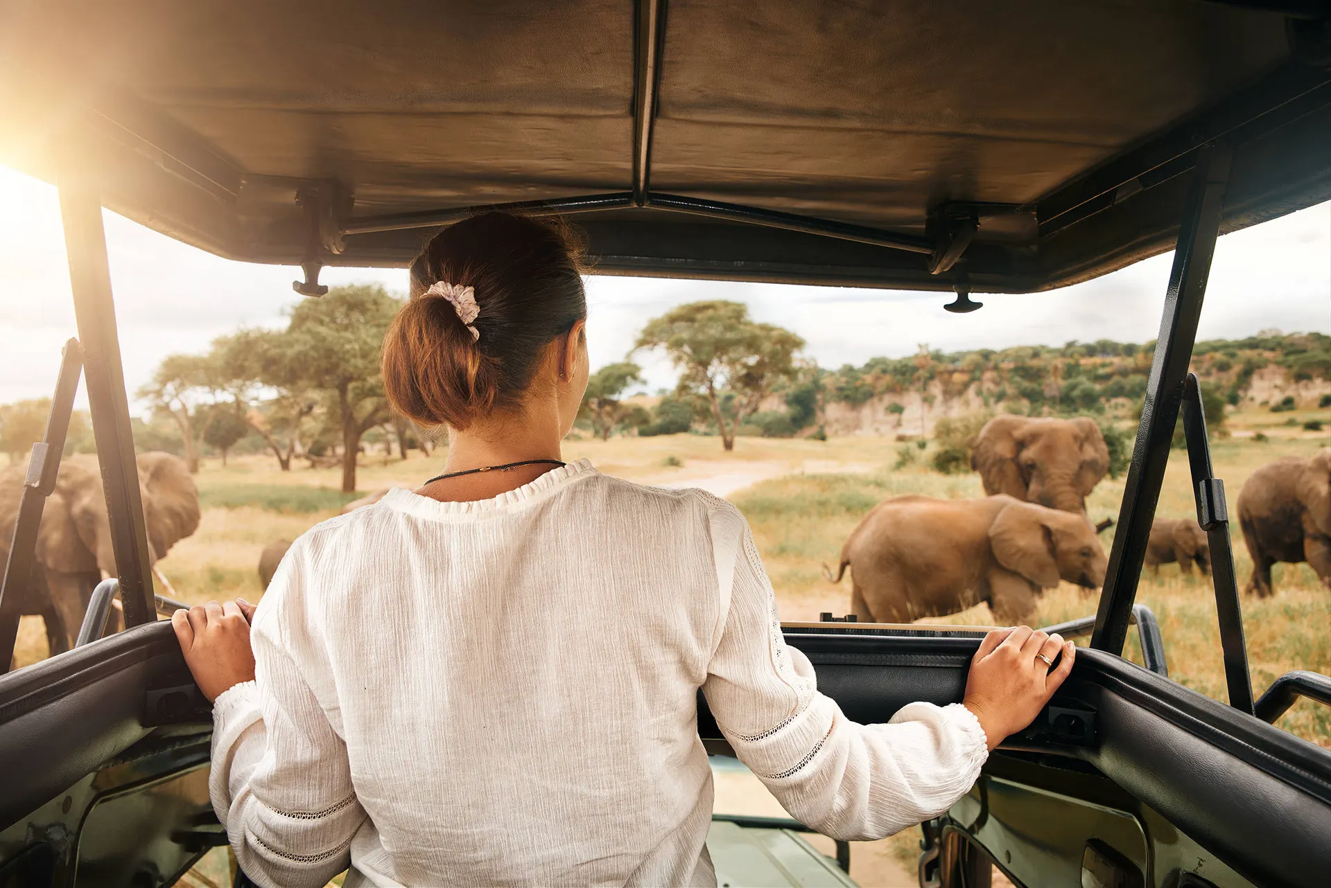 Zanzibar & safari