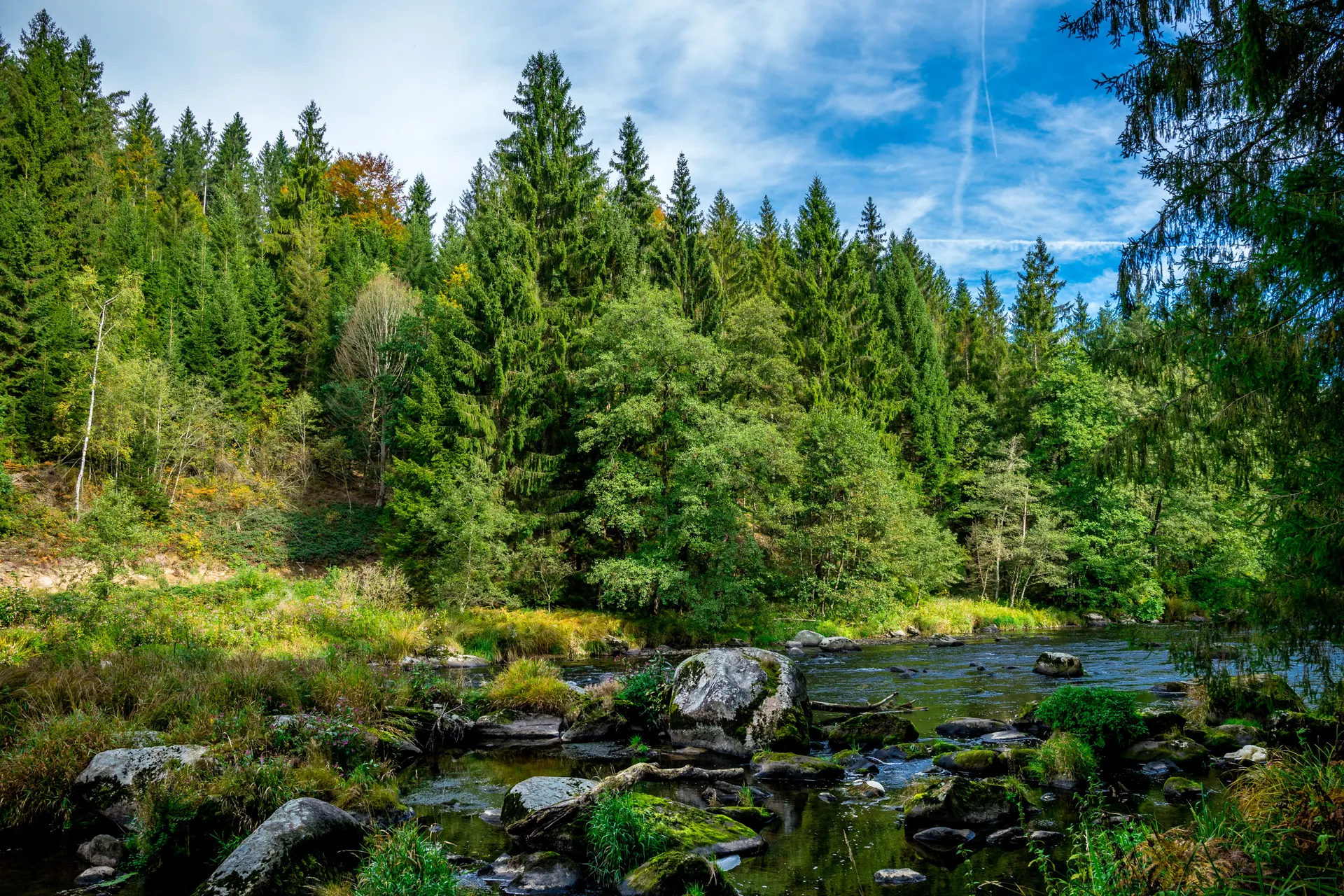 Beierse Woud, Grafenau