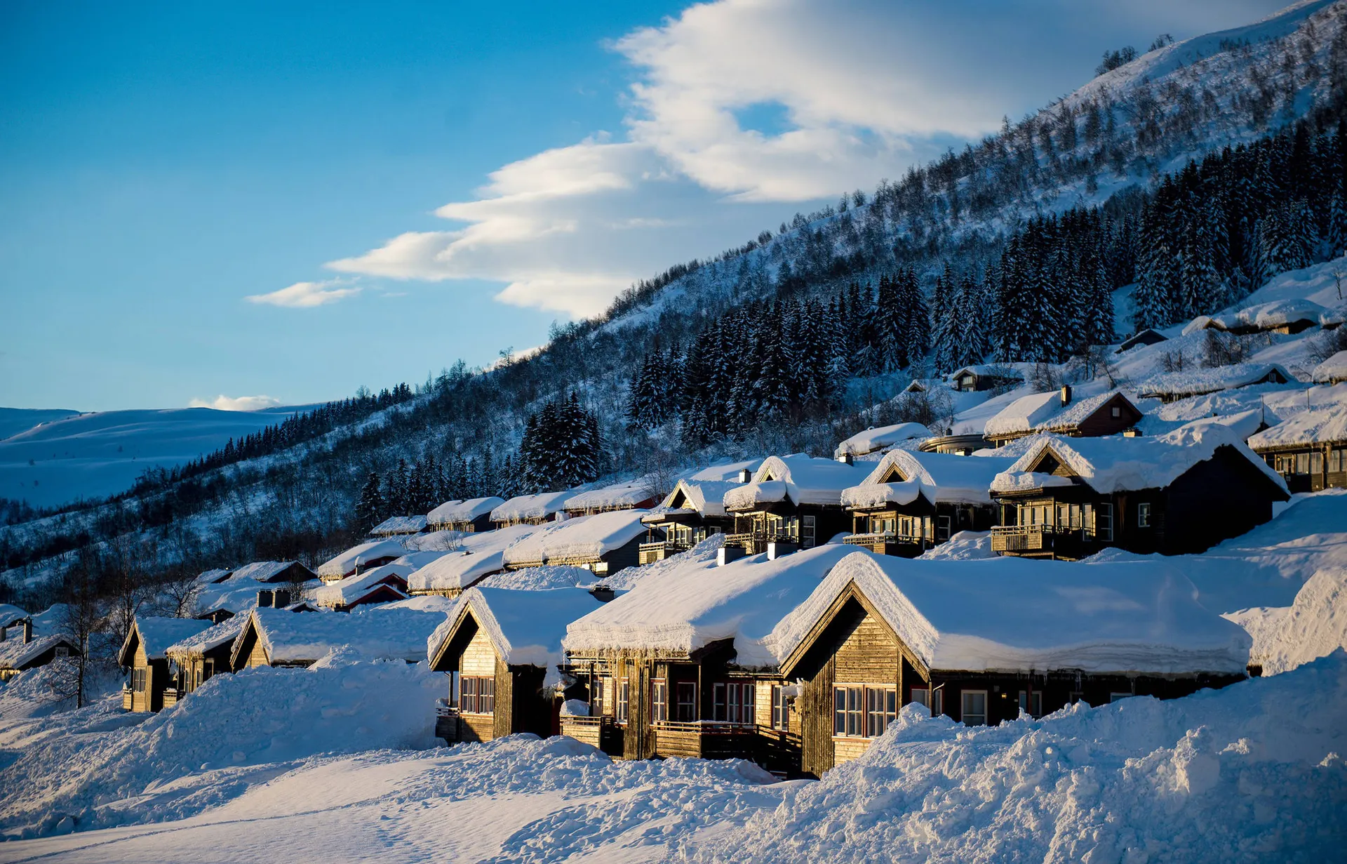 Vakantiepark Myrkdalen Mountain Resort afbeelding 3