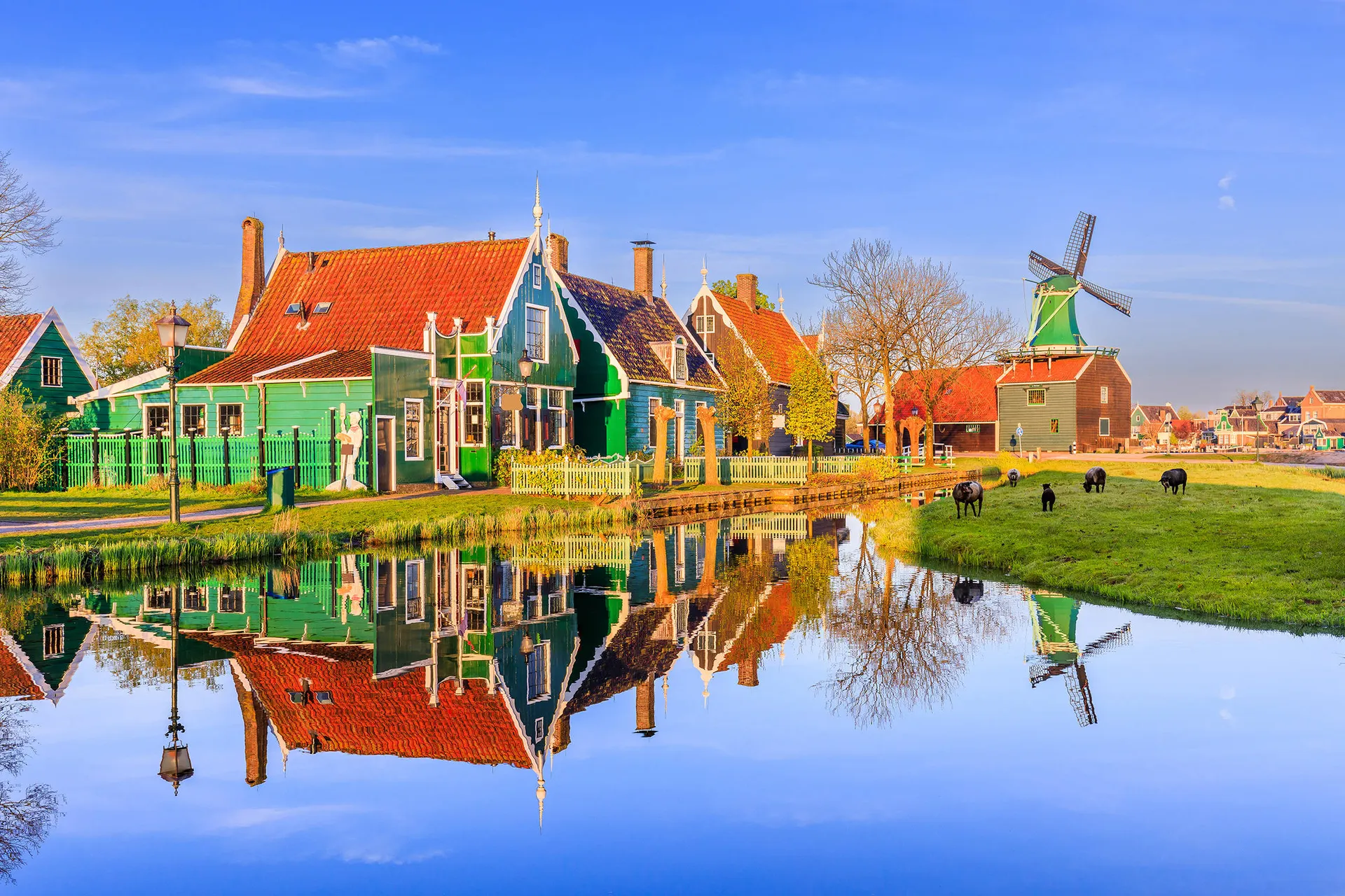 Wadden en Windmolens vanaf Rotterdam