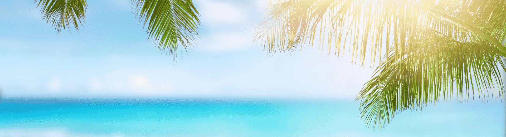 Een zonnig strand met palmbomen waar de zon (bijna) altijd schijnt - de Jong Intra Vakanties