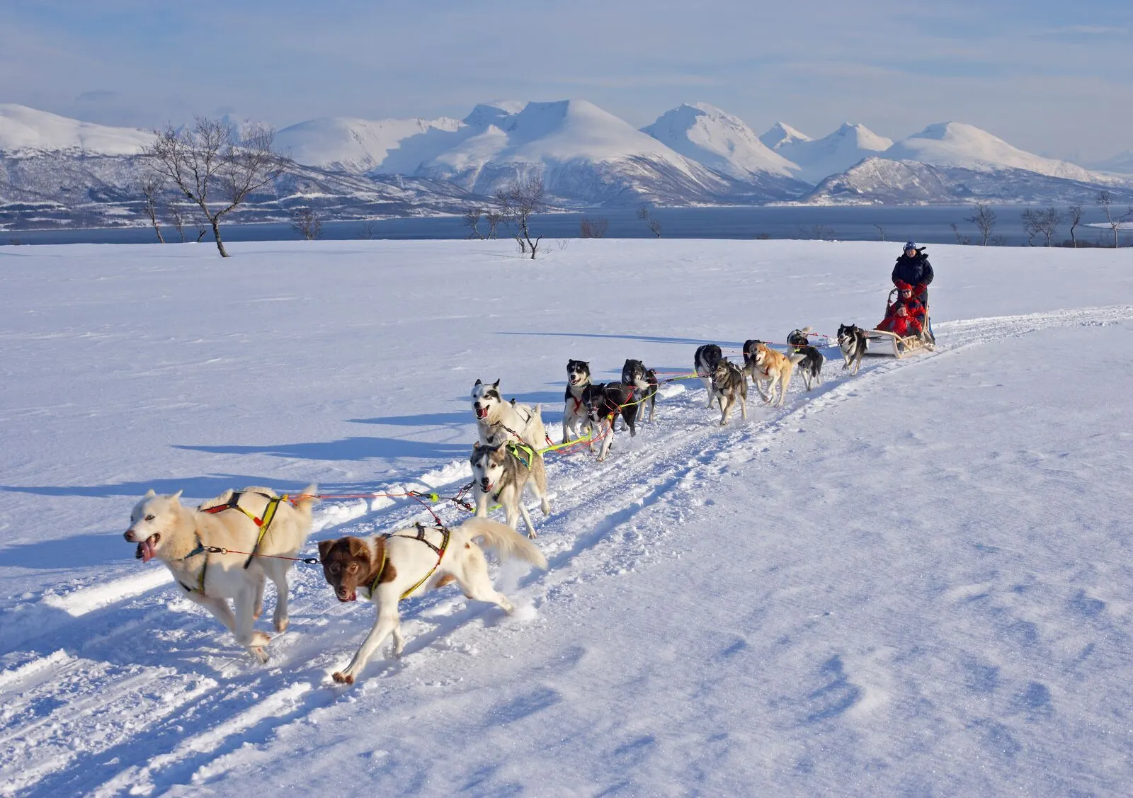 5-daags Winteravontuur Tromsø.