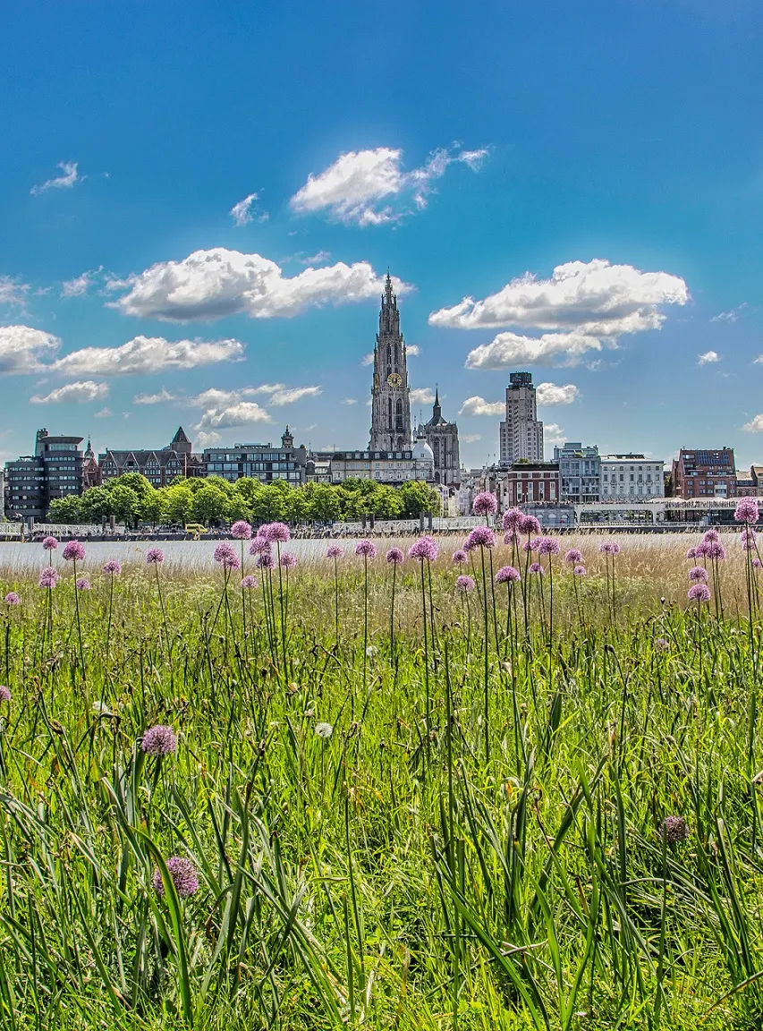 Riviercruises BelgIë