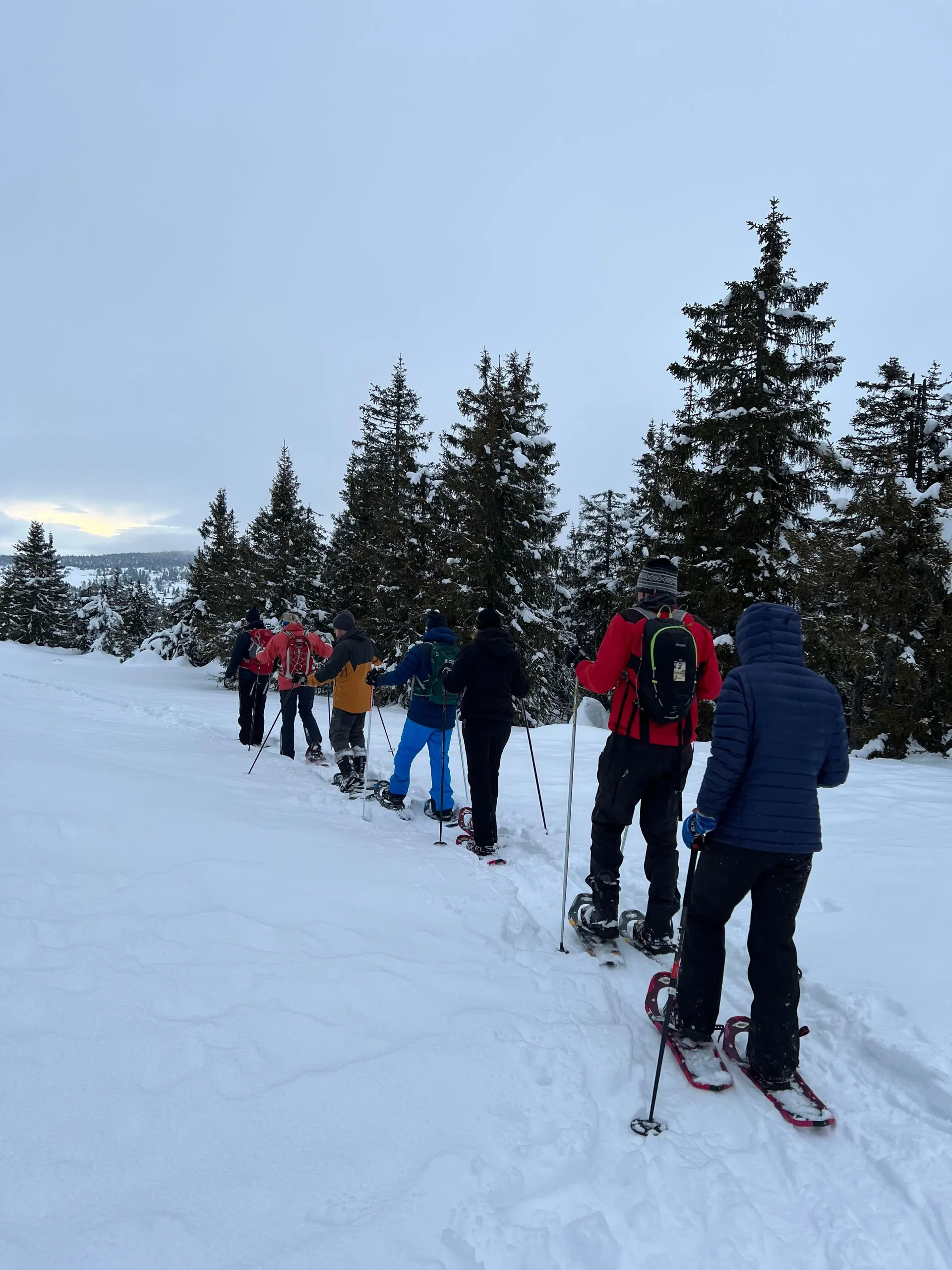 Sneeuwschoenwandelen