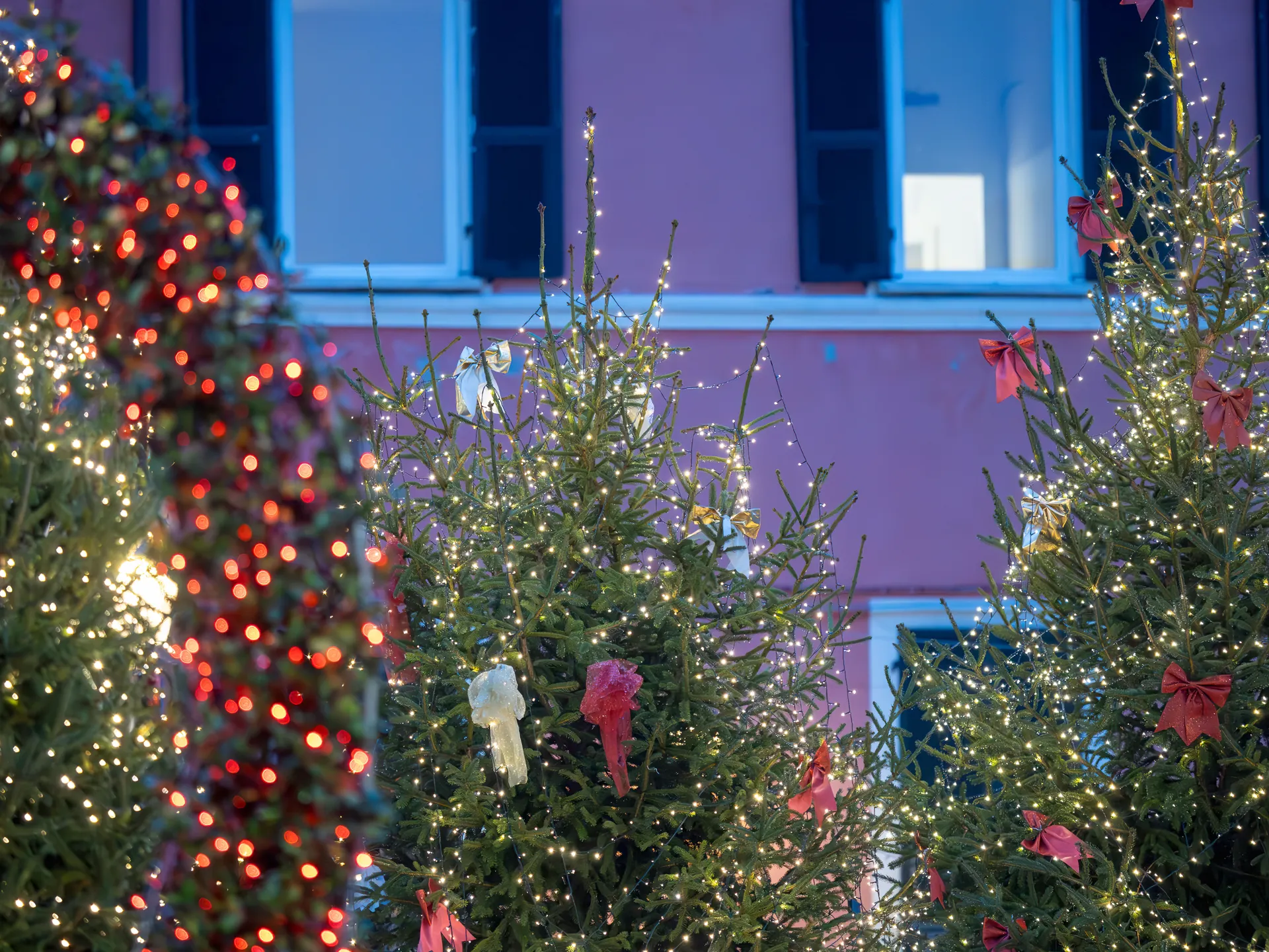 Kerst nabij Toscane en Cinque Terre, Ameglia.
