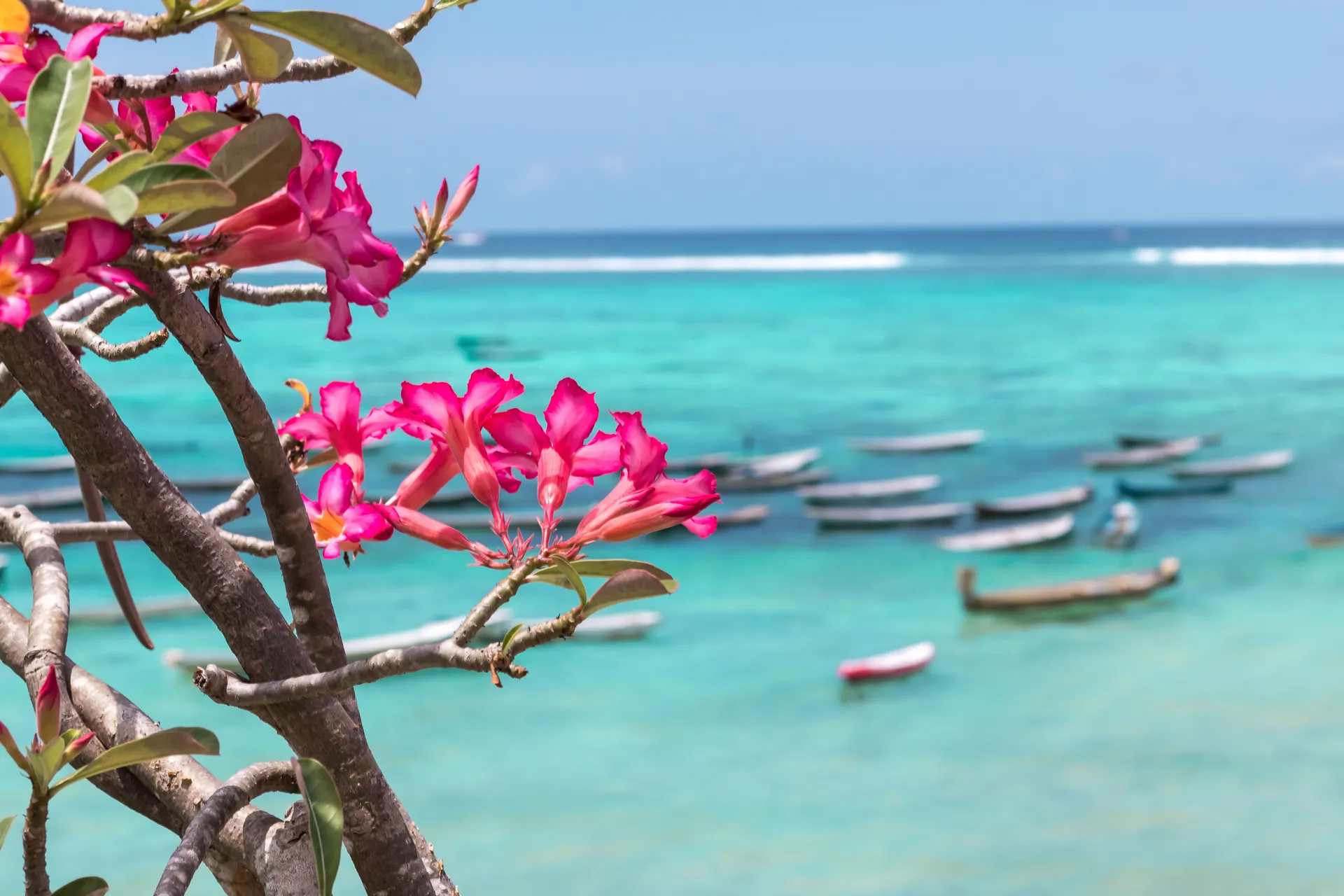 Bali, Nusa Penida en Nusa Lembongan.