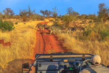 Game drive safari met ranger in het Krugerpark