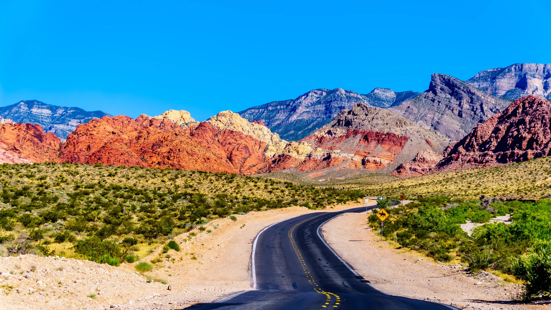 Stedentrip Las Vegas, Red Rock Canyon National Conservation Area, Las Vegas, Amerika | de Jong Intra Vakanties