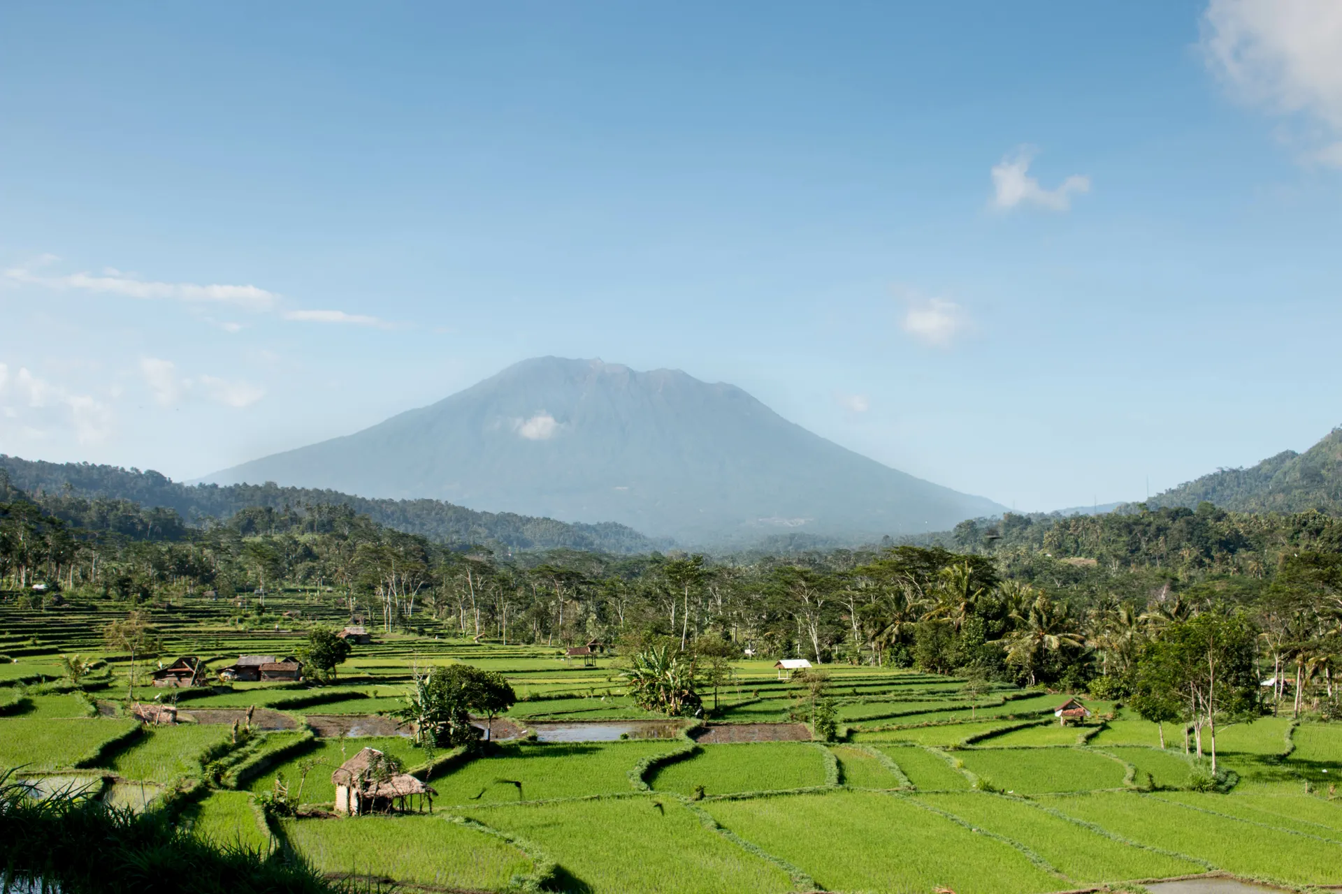 Bijzonder Bali.