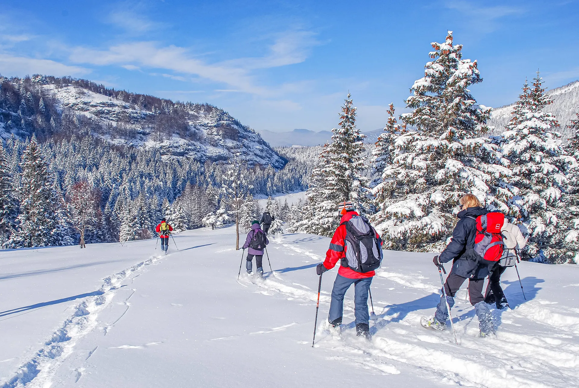 Sneeuwschoenwandeling