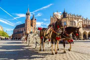 Ontdek Krakau inclusief transfer en excursies